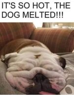 IMG_2513.jpeg