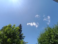 IMG_20250624_132611.jpg