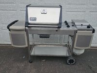 20250418 SS Platinum C.jpg