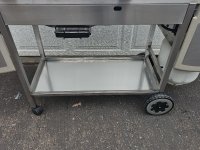 20250418 SS Platinum C_8.jpg
