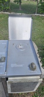 Platinum C pic 12.jpg