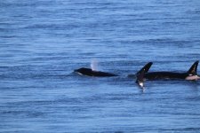 IMG_4732.jpeg