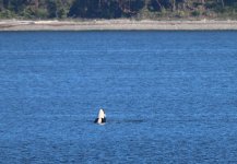 IMG_4731.jpeg
