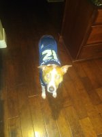 IMG_20241226_172712995.jpg