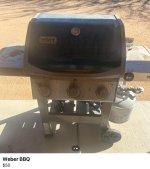 IMG_0384.jpeg