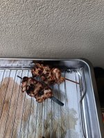 IMG_20250712_132256.jpg