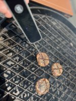 IMG_8230.jpeg