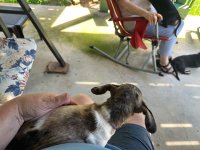 IMG_6888.jpeg