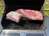 IMG_9175.jpeg