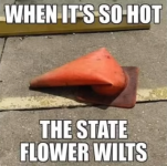 state-flower.PNG