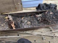 Drip Tray full of grease (dead mouse!).JPEG Drip Tray full of grease (dead mouse!).JPEG
