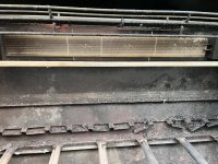IMG_8319.jpeg