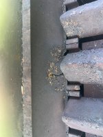 IMG_7520 2.jpeg