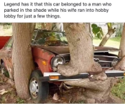 1753464396287.png