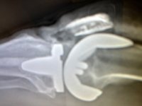 IMG_5899.jpeg
