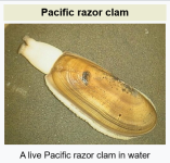 1753480658459.png