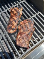 IMG_7627.jpeg