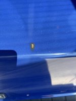 IMG_9823.jpeg