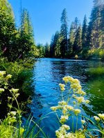 IMG_2071.jpeg