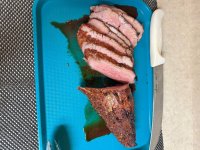 IMG_8367.jpeg