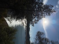 IMG_8643.jpeg
