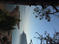 IMG_8401.jpeg