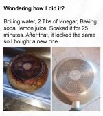 IMG_9034.jpeg