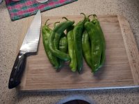 Hatch-chiles.jpg Hatch-chiles.jpg