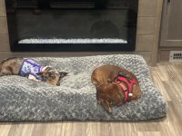 IMG_7018.jpeg