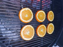 IMG_9582.jpeg