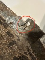 IMG_1253 Medium.jpeg