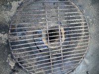 IMG_8620.jpeg
