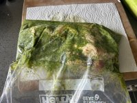 IMG_1273.jpeg