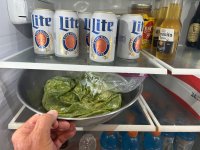 IMG_1274.jpeg