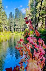 IMG_2319.jpeg