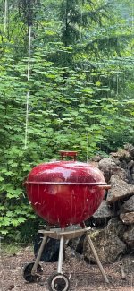 IMG_2394.jpeg IMG_2394.jpeg