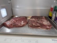 IMG_8326.jpeg