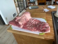 IMG_5929.jpeg