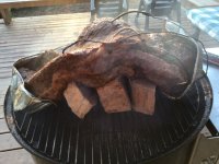 IMG_1666.jpeg