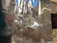 IMG_2450.jpeg