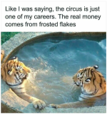 Tigers.png
