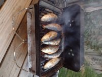 IMG_20230611_203145241.jpg