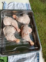 IMG_20250907_154433.jpg