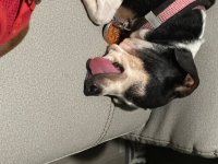 IMG_4240.jpeg