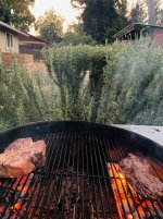 IMG_2648.jpeg IMG_2648.jpeg