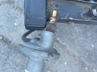 IMG_8798.jpeg