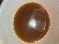 IMG_0381.jpeg