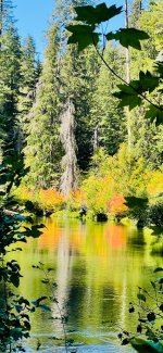 IMG_2772.jpeg