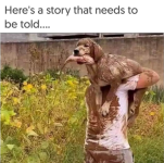 1758923168799.png