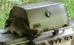 20200817_191236~2.jpg